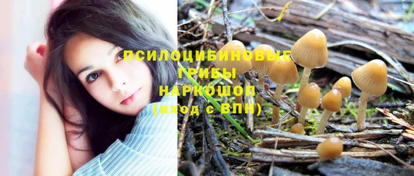 ГАЛЛЮЦИНОГЕННЫЕ ГРИБЫ Кукмор