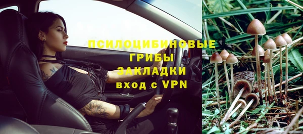 хмурый Куйбышев