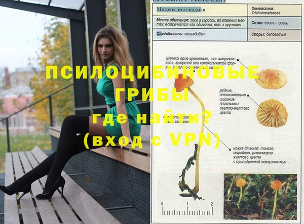 хмурый Куйбышев