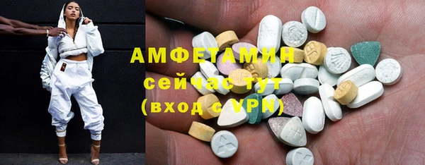 ГАЛЛЮЦИНОГЕННЫЕ ГРИБЫ Кукмор