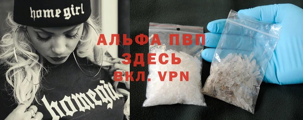 ГАЛЛЮЦИНОГЕННЫЕ ГРИБЫ Кукмор