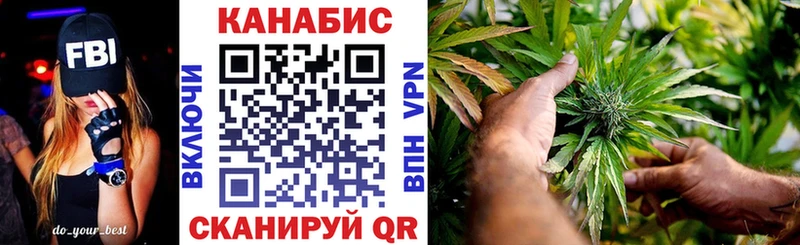 Конопля OG Kush  Купить где  Волхов 
